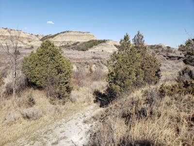 Bennett Campground / Bennett Trail
