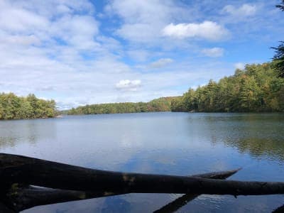 Bigelow Hollow State Park / Nipmuck State Forest