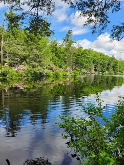 Bigelow Hollow State Park / Nipmuck State Forest