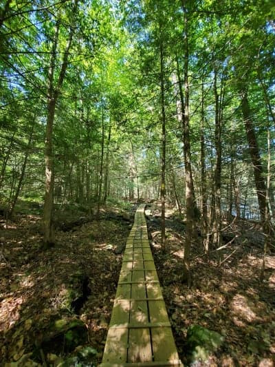 Bigelow Hollow State Park / Nipmuck State Forest