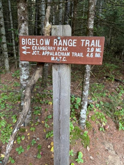 Bigelow Preserve & Flagstaff Lake Public Lands