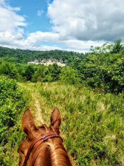 Big Piney Equestrian Camp