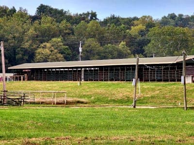 Big Piney Equestrian Camp