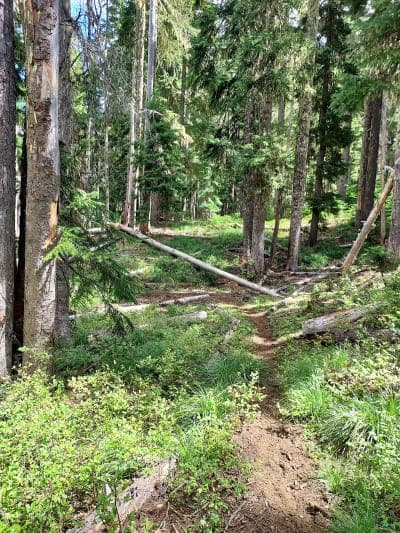 Big Meadows Horse Camp