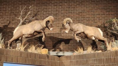 Bighorn Canyon National Recreation Area – South District
