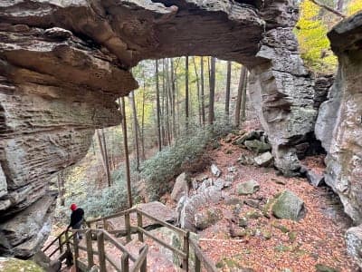 Big South Fork – Bear Creek Horse Camp