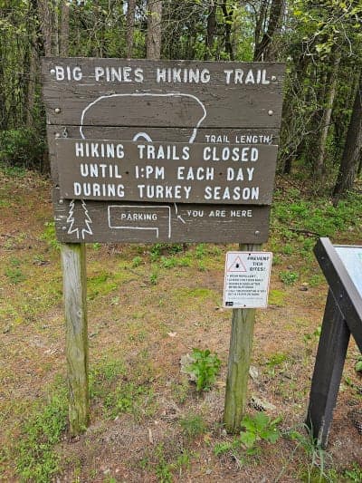 Big River State Forest