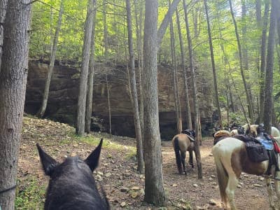 Big South Fork – Bear Creek Horse Camp