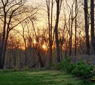 Big River State Forest