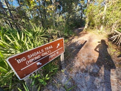 Big Shoals State Park