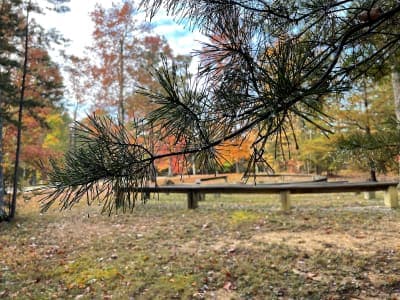 Big South Fork – Bear Creek Horse Camp