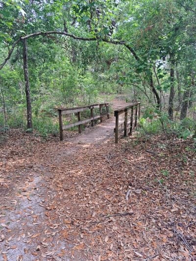 Big Shoals State Park