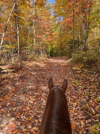 Big South Fork – Bear Creek Horse Camp