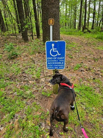 Big River State Forest