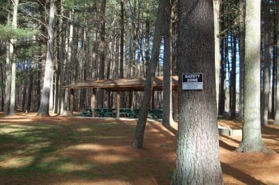 Blackbird State Forest
