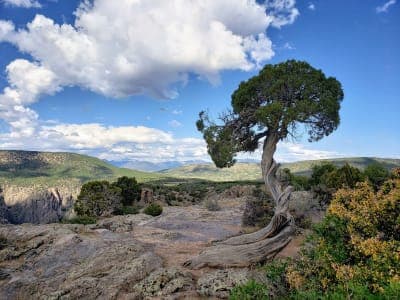 Black Canyon of the Gunnison National Park