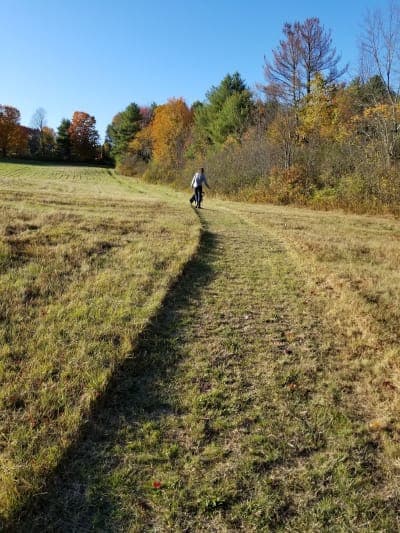 Black Brook Preserve