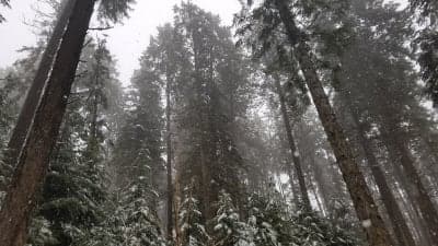 Blue Creek Bay Recreation Site and Trail