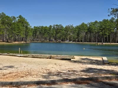 Blackwater River State Forest