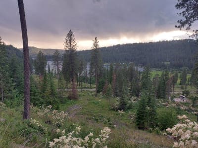 Blue Creek Bay Recreation Site and Trail