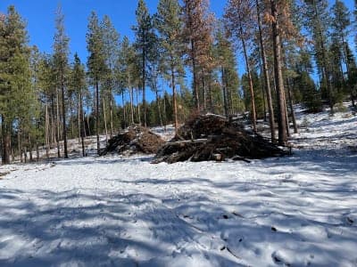 Blue Creek Bay Recreation Site and Trail