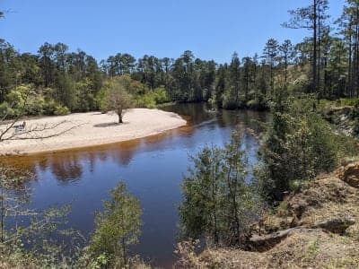 Blackwater River State Forest