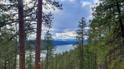 Blue Creek Bay Recreation Site and Trail