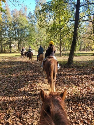 Blue Ridge Equestrian Trail