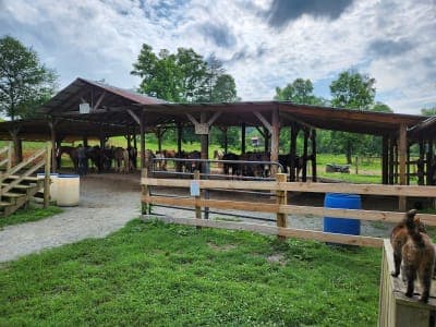 Blue Ridge Equestrian Trail
