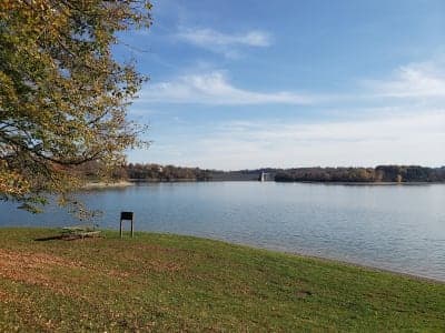 Blue Marsh Lake