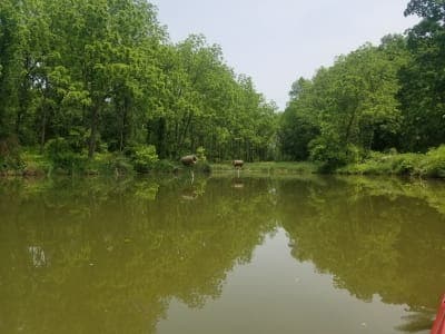 Blue Marsh Lake