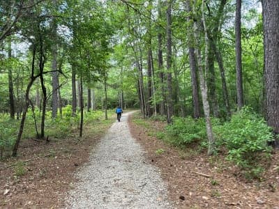 Bogue Chitto State Park
