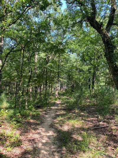 Bois D' Arc Trailhead / Caddo-LBJ National Grasslands