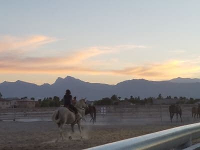 Bradley Bridle Park