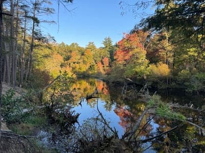 Bradley Palmer State Park