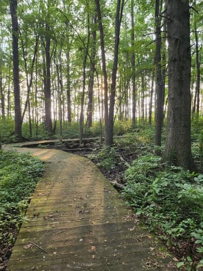 Bradner Preserve
