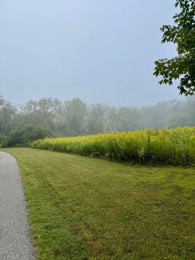 Brandywine Valley Trail Network
