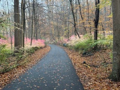 Brandywine Creek State Park