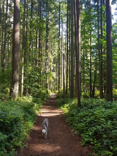 Bridle Trails State Park