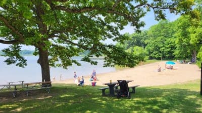 Brighton Recreation Area