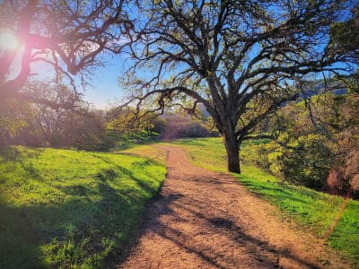 Briones Regional Park