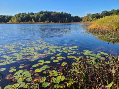 Brighton Recreation Area