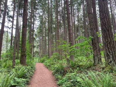 Bridle Trails State Park