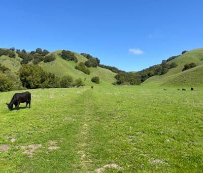 Briones Regional Park