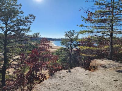 Brendan T. Byrne State Forest