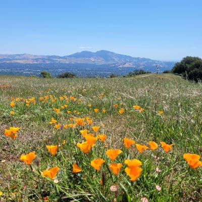 Briones Regional Park