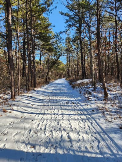 Brookhaven State Park
