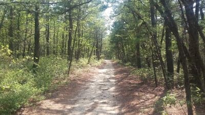 Brookhaven State Park