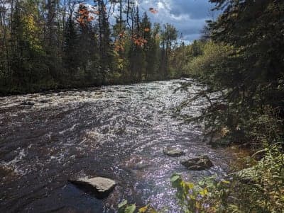 Brule River State Forest