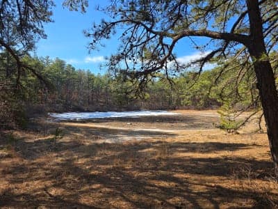 Brookhaven State Park